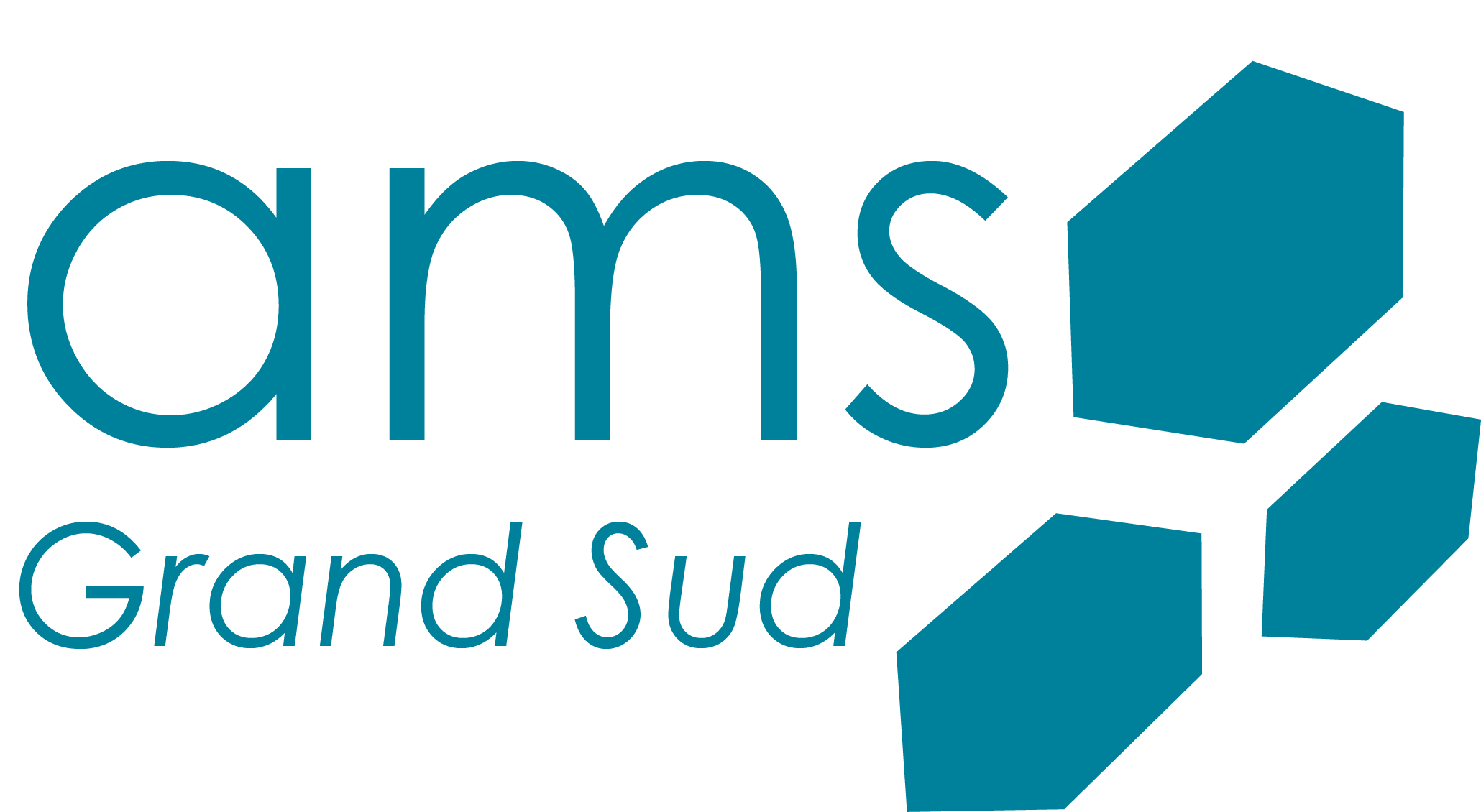 logo ams bleu